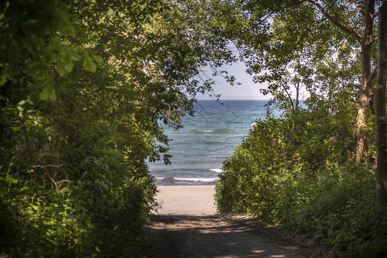 Ostseebad Kühlungsborn Feels Beach Club Hotel מראה חיצוני תמונה